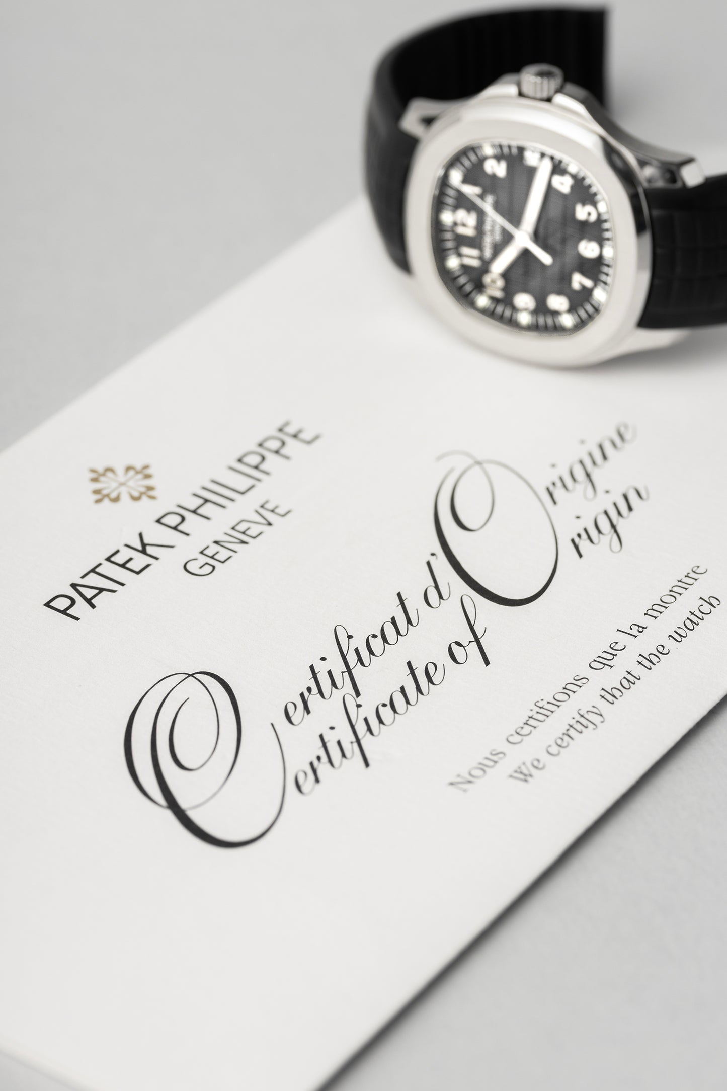 Patek Philippe Aquanaut